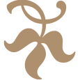 Leaf flourish icon