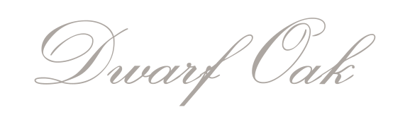 Dwarf Oak cursive text logo