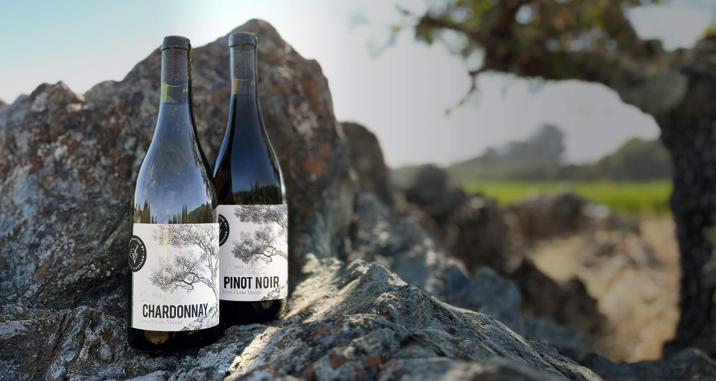 Dwarf Oak Chardonnay and Pinot Noir