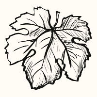 Locally grown leaf illustration