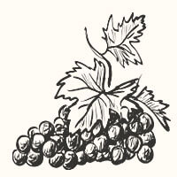 Limited intervention illustration of grapes on the vine